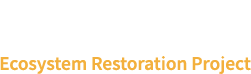 Matilija Dam Ecosystem Restoration Project