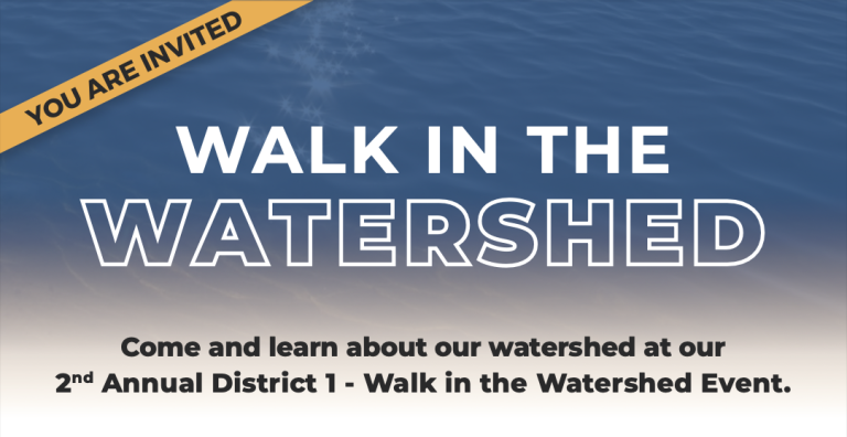 Walk In The Watershed